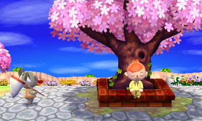 screenshot from Animal Crossing: New Leaf featuring my character sitting in front of a huge cherry tree in blossoms. Ozzie, a cute koala non-player character, is walking by with a butterfly net.